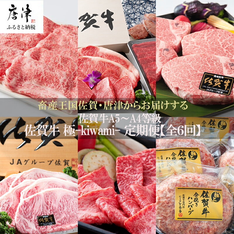 【ふるさと納税】「定期便全6回」 佐賀牛 極-kiwami- 寄附翌月から発送 A5〜A4等級 ギフト 贈り物 「2025年 令和7年」