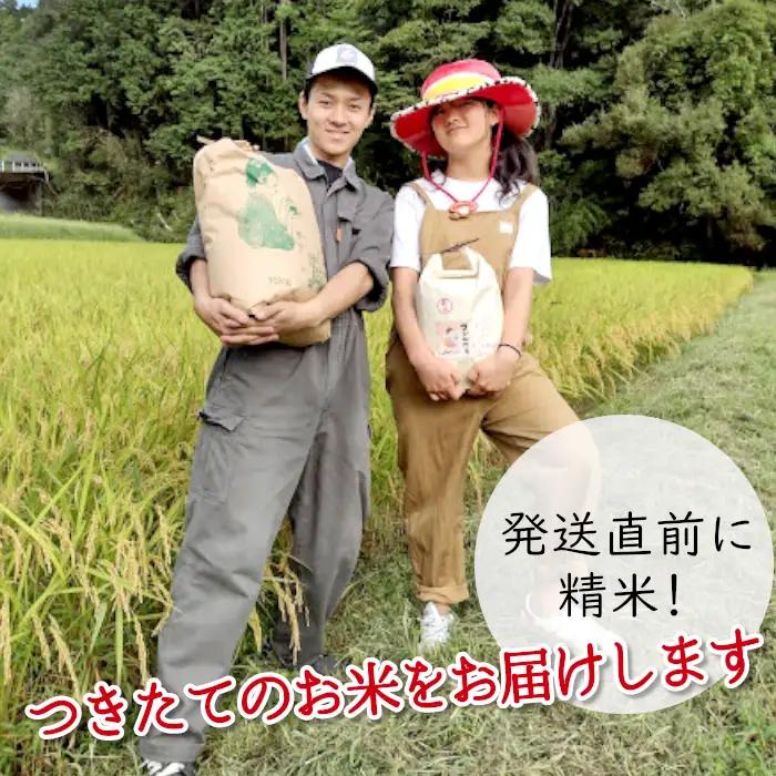 令和7年産 ミルキークイーン 3kg 米 白米 精米 岐阜県産 ブランド米 銘柄米 こめ お米