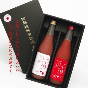 二十歳のいちごちゃん リキュール 飲み比べ セット　N085-ZA727