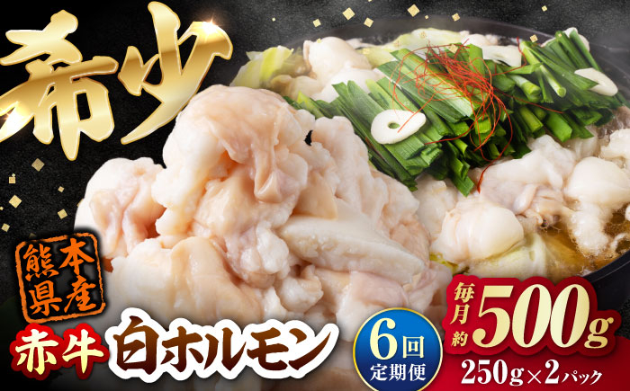 
            【全6回定期便】 赤牛 ホルモン 500g（250g×2パック） / お肉 肉 牛肉 あか牛 小腸 シロホルモン もつ 熊本県産 冷凍 和牛 赤牛 褐毛和種 ホルモン モツ モツ鍋 もつ鍋 鍋 焼き肉 焼肉 定期便 定期便6回 冷凍 国産 熊本 熊本県 肥後 熊本県産【五右衛門フーズ熊本店】 [AYBV038]
          