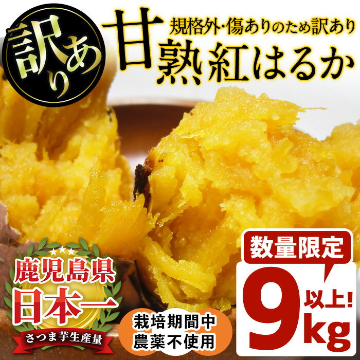 【ふるさと納税】＜訳あり・規格外＞栽培期間中農薬不使用 甘熟さつまいも(生)紅はるか9kg以上！(S～4Lサイズ 混在) いも 芋 さつまいも サツマイモ 焼き芋 大学芋 スイーツ 熟成 サイズ不揃い 野菜 秋冬の旬の根菜 先行予約受付中 【上原農園】