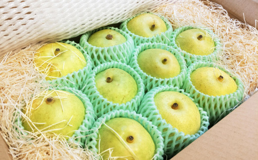 ※画像はイメージです