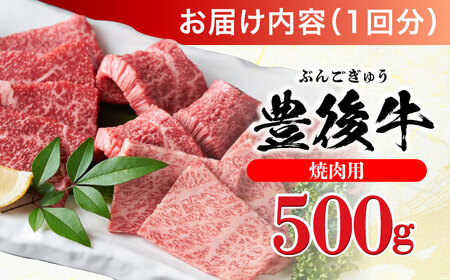 【全12回定期便】おおいた豊後牛 焼肉用 500g 日田市 / 株式会社MEAT PLUS　牛 うし 黒毛和牛 和牛 豊後牛[AREI100]