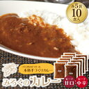 【ふるさと納税】みろくのカレー10食セット（甘口5食・中辛5食） ビーフカレー 本格 惣菜 冷凍 セット 簡単 グルメ 時短 送料無料 U27-01