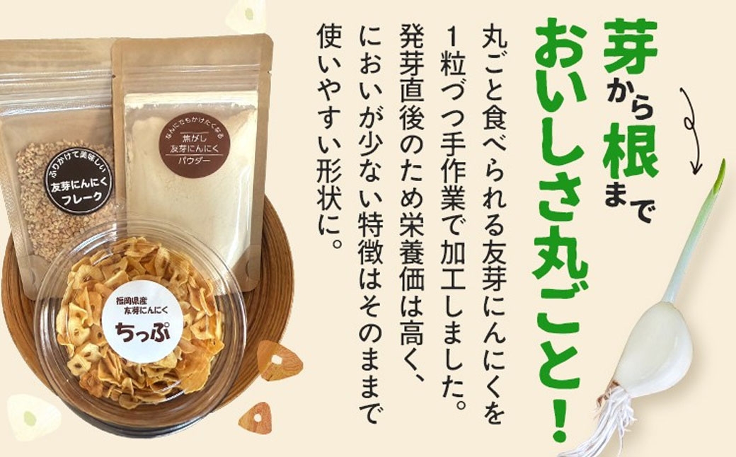 にんにくフレーク&にんにくチップ&パウダーセット