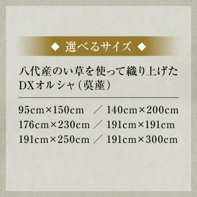 ふるさと納税 八代市 熊本県八代市産のい草を使って織り上げたござ『DXオルシャ』176cm×230cm_022-6484 |  | 03