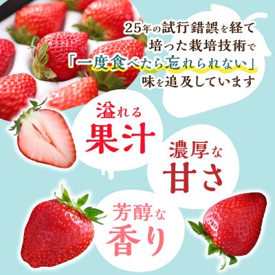 【2025年4月発送開始】岡山県美作市産　おいCベリー(約280g×4パック)【配送不可地域：離島・北海道・沖縄県】