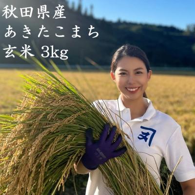 ふるさと納税 湯沢市 【米農家直送】令和7年産米　特Aランク厳選秋田県産あきたこまち【玄米3kg】[B2312]