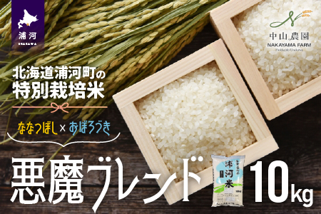 【令和5年産】北海道浦河町の特別栽培米「悪魔ブレンド」精米(10kg×1袋)[37-1224]