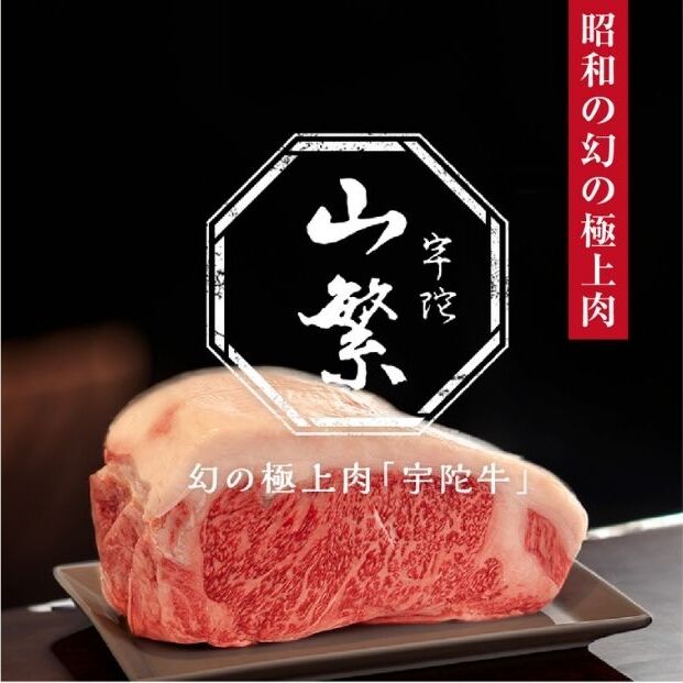【限定】名産 認定肉 宇陀牛 希少 ヒレ 丸ごと1本 3kg以上 国産 黒毛和牛 真空チルド / 山繁 ふるさと納税 牛肉 ヘレ フィレ 人気 シャトーブリアン 寄付 ランキング 肉 返礼品 送料無料