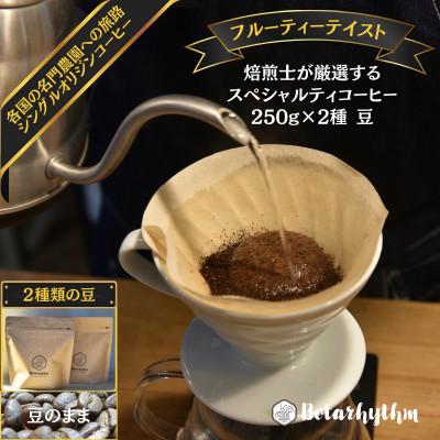 ふるさと納税 南房総市 スペシャルティコーヒー【フルーティーテイスト】 250g×2種類【豆】　mi0043-0010-1