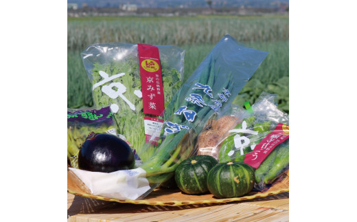 伝統の京野菜 おためしセット 6種程度 野菜 詰め合わせ 京都 季節 旬 京野菜 栄養食 九条ネギ 万願寺 賀茂なす 京都府産 数量限定 冷蔵 サラダ 健康 お試し 京都府 京都 農協 JA JA京都