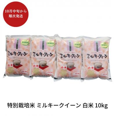 ふるさと納税 三条市 特別栽培米 ミルキークイーン 白米 10kg 新潟県産 【018S019】