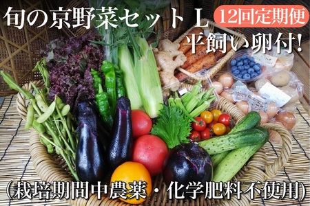 【12回定期便】＜アスカ有機農園＞旬の京野菜セットL（平飼い卵付）定期便＊毎月お届け全12回定期便≪野菜定期便 ふるさと納税野菜定期便 野菜詰め合わせ 野菜セット 野菜定期便 厳選野菜 旬野菜定期便 