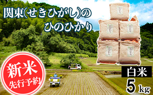 【令和7年産】関東(せきひがし)のひのひかり 白米 5kg 真空 パック 熊本県 南関町産 単一原料米 ヒノヒカリ 産地直送 お米