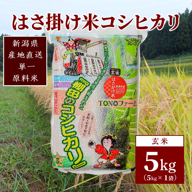 【数量限定】令和5年産 新潟上越清里産 はさ掛け米コシヒカリ(5kgx1袋)玄米 こしひかり コシヒカリ 米