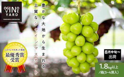 【2025年先行予約_8月中旬～発送】山梨県産シャインマスカット １．８ｋｇ以上／箱　３～４房入 ALPAK007｜おすすめ 人気 山梨県 産地直送 フルーツ 果物 くだもの ブドウ ぶどう シャイン マスカット くだもの 国産 葡萄 新鮮