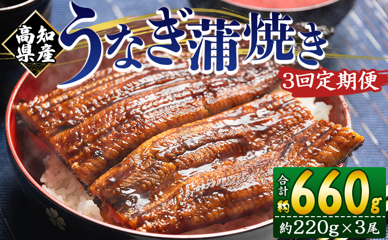 【３回定期便】高知県産養殖うなぎ蒲焼き 約220g×３尾 Wfb-0066