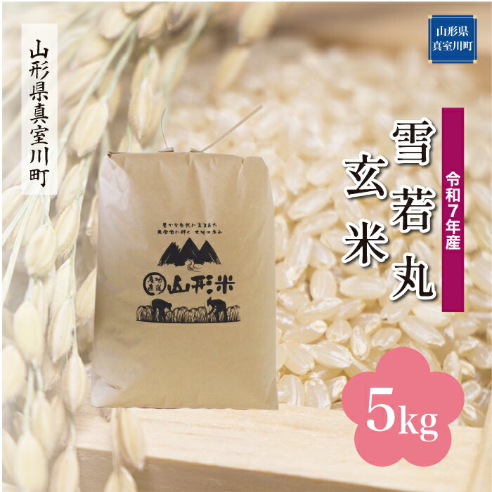 【ふるさと納税】令和7年産 真室川町厳選 雪若丸 ［玄米］ 5kg（5kg×1袋）