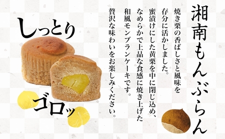湘南 冨士美 和もんぶらん 5個入り×2箱 もんぶらん モンブラン 和モンブラン スイーツ 甘味 デザート 栗 くり しっとり 黄栗 ふわふわ 個包装 箱菓子 ばらまき菓子 お茶請け お茶菓子 プレゼ
