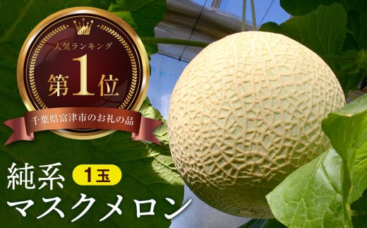 【最高級】純系マスクメロン１玉（化粧箱入）【８～９月発送分】