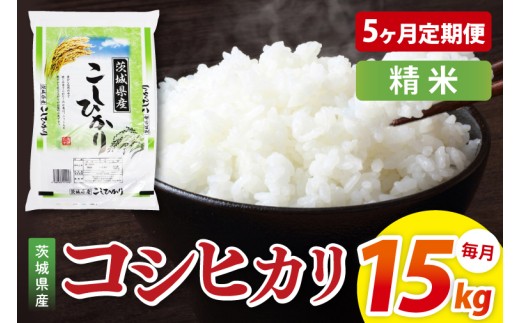 米 定期便 5ヶ月 コシヒカリ 精米 15kg 令和7年産 茨城県産 お米 こめ コメ ごはん 白米 こしひかり 茨城県産米 単一米 単一原料米 安心 安全 送料無料 国産 人気 数量限定 高評価（85-164）