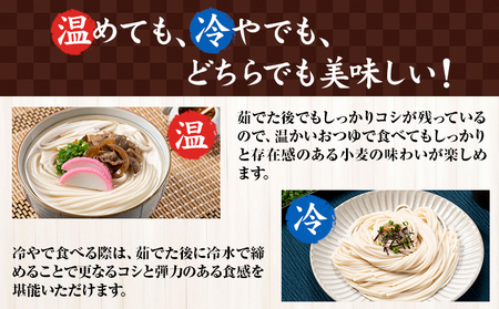 [0.8-240] 　当別町産小麦を使った 乾麺うどん 10袋 うどん 乾麺 JA北石狩農協協同組合 北海道 当別町
