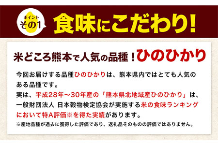 大容量 米 令和5年産 ひのひかり 無洗米 10kg 《7-14営業日以内に出荷予定(土日祝除く)》5kg×2袋 熊本県産 米 精米 ひの 熊本県 玉東町