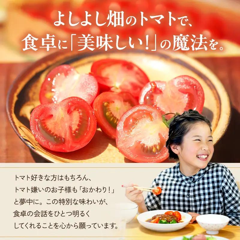 トマト よしよし畑 中玉トマト 最旬お届け トマト【800g～1kg】【定期便3ヶ月】