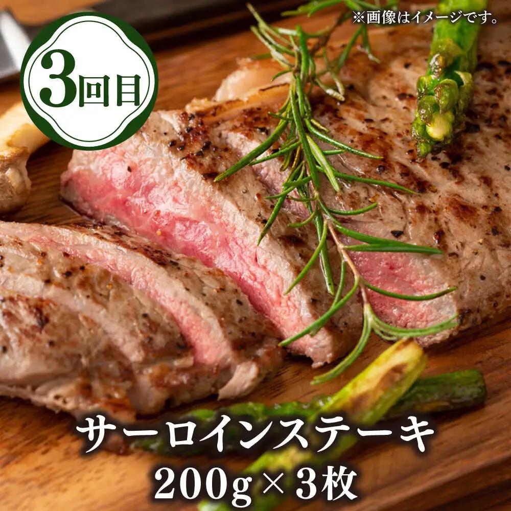 【全3回定期便】壱岐牛定期便（壱岐牛ステーキ、しゃぶすきセット）3人前《壱岐市》【壱岐市農業協同組合】壱岐牛 すき焼き ステーキ しゃぶしゃぶ 肉セット[JBO164]
