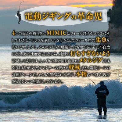 ふるさと納税 碧南市 DENJIG MIMIC CPSG 280g ステンレス製 電動ジギング専用ジグH153-138 |  | 02