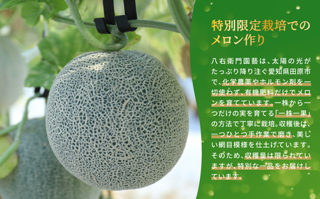  特別限定栽培 八右衛門アールスメロン 大玉1.8kg 1玉 （マスクメロン） 先行予約 メロン めろん 箱詰め フルーツ 果物 愛知県 田原市 6月 7月