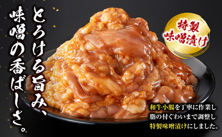 ＜訳アリ＞和牛トロホルモン　特製味噌漬け　0.3kg(300g×1）【順次発送】