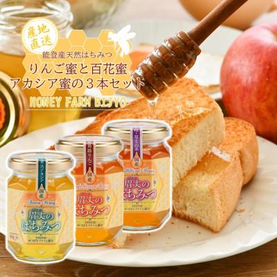 ふるさと納税 羽咋市 能登産天然はちみつ『りんご蜂蜜&amp;アカシア蜂蜜&amp;百花蜂蜜』セット