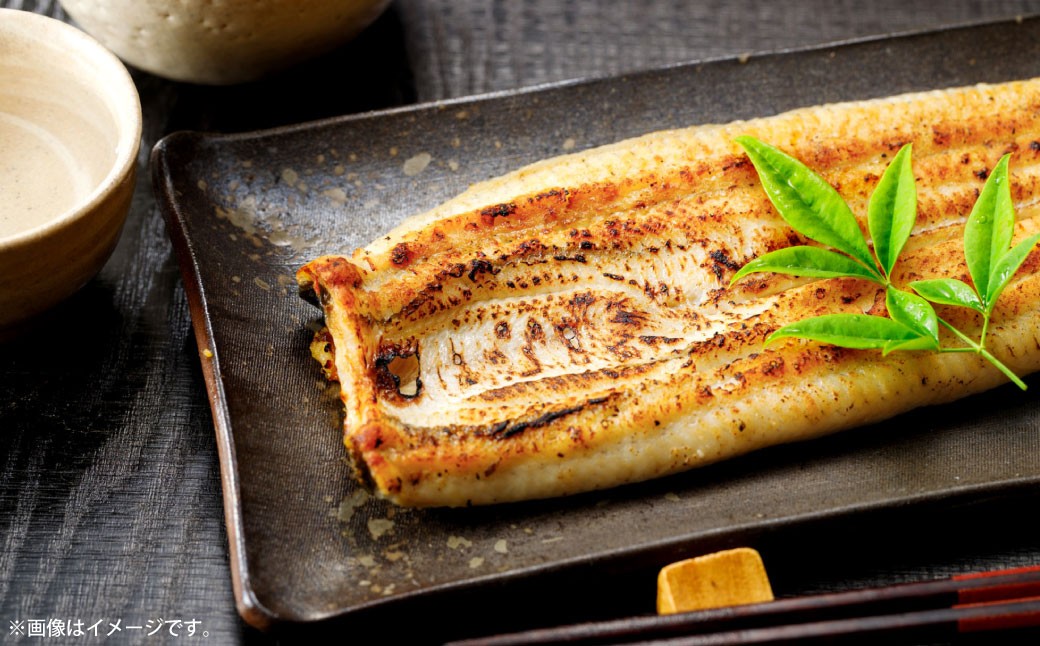 
                  めぐみうなぎ 白焼き 3尾 セット うなぎ 鰻 ウナギ 魚類 うな重 うな丼 晩ごはん 惣菜 おかず 贅沢 冷凍 国産 大阪府産 養殖 無投薬 【 2026年6月下旬～7月上旬発送予定 】
                