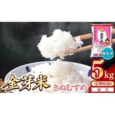 ふるさと納税 安来市 【毎月定期便】BG無洗米・金芽米きぬむすめ 5kg全3回