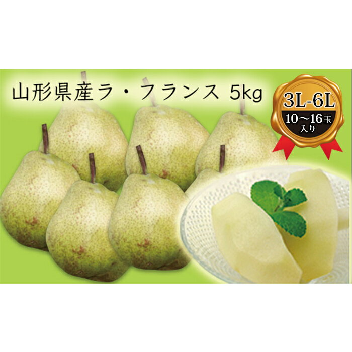 【ふるさと納税】 《先行予約 2026年度発送》山形県産ラ・フランス5kg（10～16玉 3L～6L） なし ナシ 梨 デザート フルーツ 果物 くだもの 果実 食品 山形県 FSY-0382