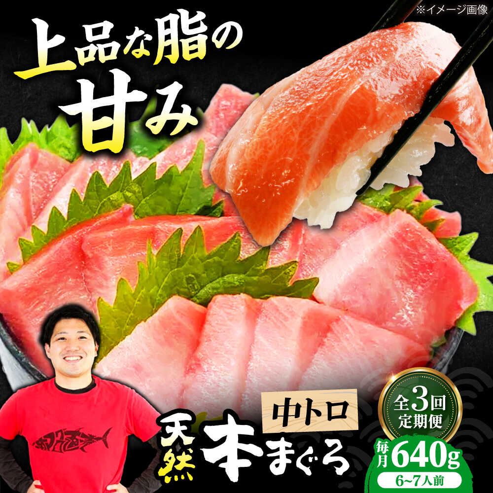 【ふるさと納税】【全3回定期便】極上！たね熟天然本まぐろ中トロ(640g) 天然 マグロ 鮪 中トロ 刺身 魚 魚介 大阪府高槻市/本まぐろ直売所[AOCE034]