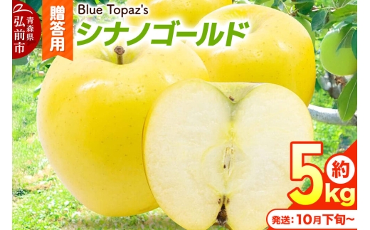 【26年10月下旬～発送】りんご シナノゴールド【贈答用】約5kg 内のし付き 先行受付 青森県 弘前市 [先行予約 アップル おいしい ふじ りんご 果実 果物 黄色 津軽 糖度 美味 林檎]