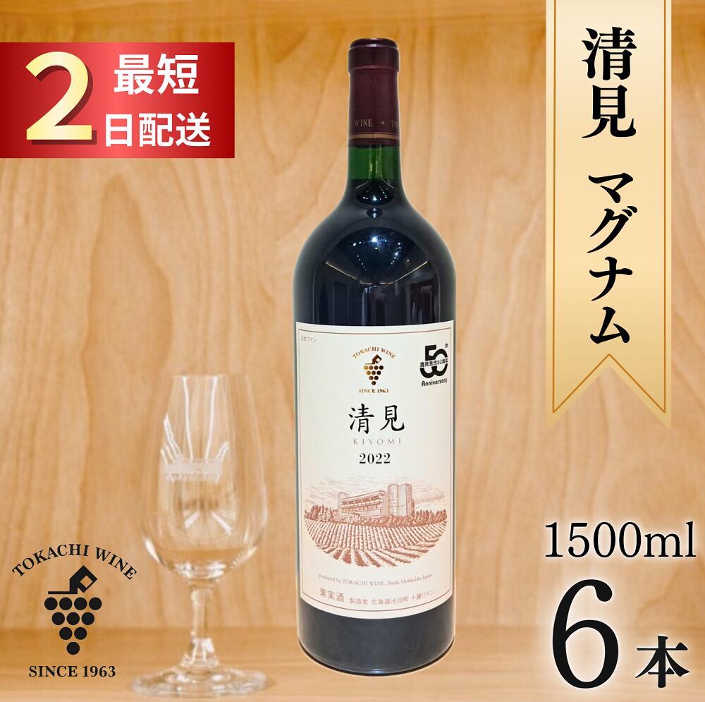【ふるさと納税】清見2022 マグナム6本 9L 最短申込みから2日発送 北海道ワイン 北海道池田町 十勝ワイン 送料無料