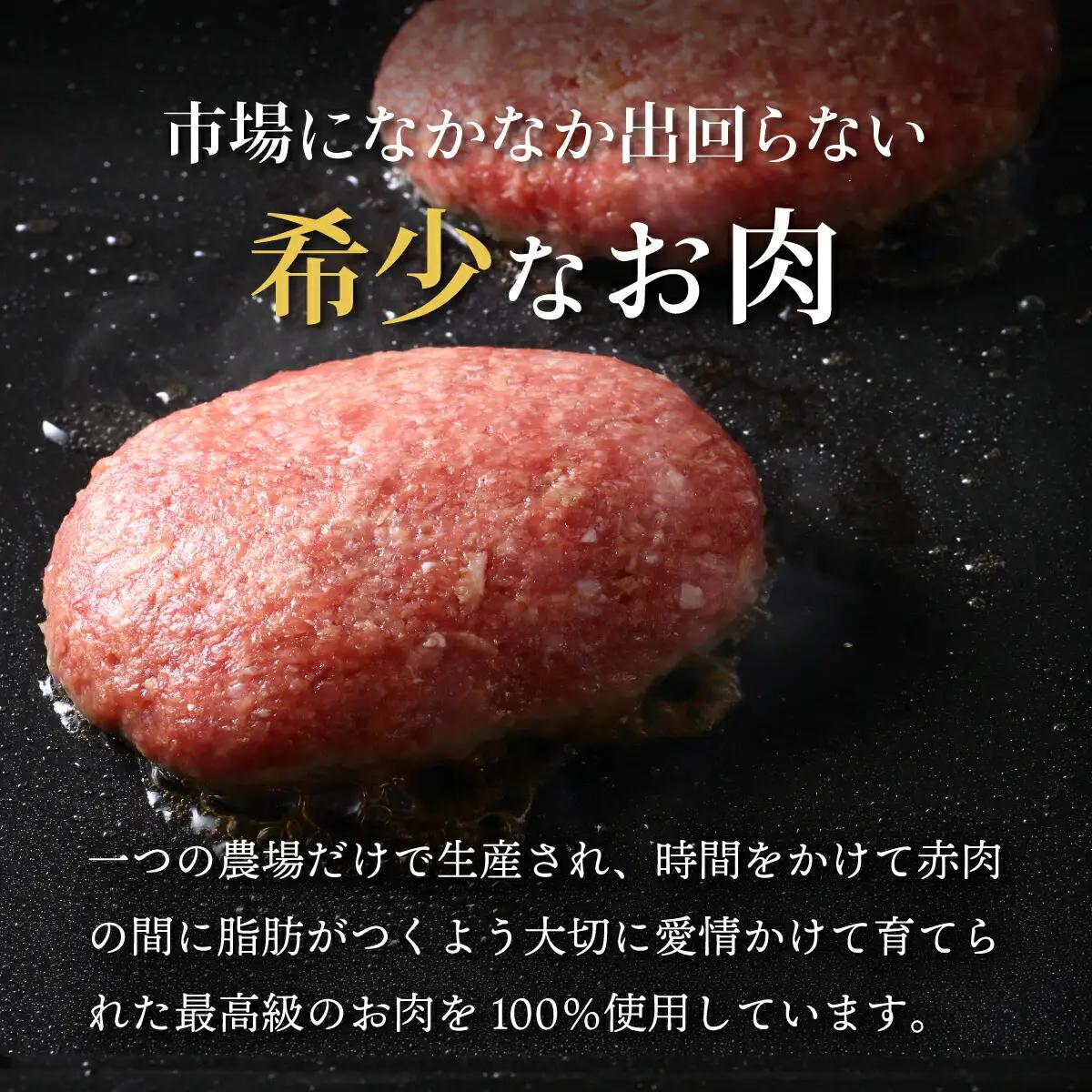 「登別牛100％使用ハンバーグ 120g×5個」