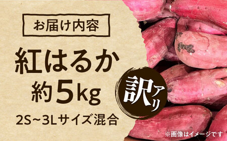 【訳あり】紅はるか 約5kg 2S～3Lサイズ混合 【株式会社 Foody’s】[AYAT010]