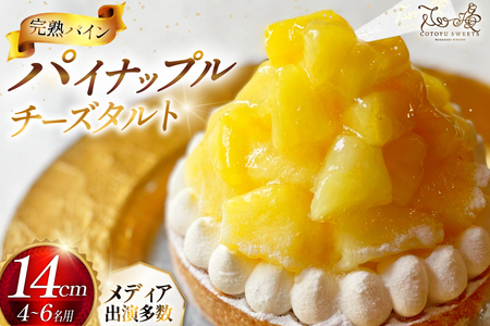 パイナップル ケーキ パイナップルチーズタルト 1ホール 14cm [心優-Cotoyu Sweets- 長崎県 平戸市 hr42bgy420210]