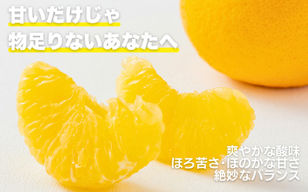 訳あり 甘夏 8kg サイズ ミックス 8000円 ご家庭用 送料無料 産地直送 農家直送 減農薬 栽培 フルーツ 果物 柑橘 あまなつ 旬の味覚 爽やか 香り 甘酸っぱい ほろ苦い 大人 の 味 マ