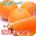 【ふるさと納税】＜2月より発送＞厳選 清見オレンジ 1.5kg 2.5kg 4kg 5kg （傷み補償分）【光センサー食頃出荷】【樹上完熟きよみオレンジ・清見タンゴール・清美】＜2025年2月～3月下旬ごろに順次発送＞ ※北海道・沖縄・離島への配送不可 / オレンジ 清見 みかん くだもの