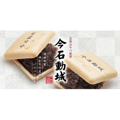 ふるさと納税 小矢部市 パリパリ最中　今石動城(いまいするぎじょう)