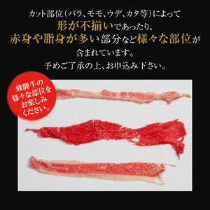 訳あり 飛騨牛 切落とし 600g 冷凍真空パック | 肉 お肉 切り落とし 薄切り すき焼き すきやき 黒毛和牛 和牛 人気 おすすめ 牛肉 ギフト お取り寄せ 7日以内お届け[MZ011]