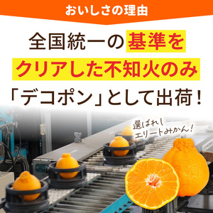 S053-003A_天草産 デコポン 5kg〈先行予約〉 / デコポン 柑橘 みかん フルーツ