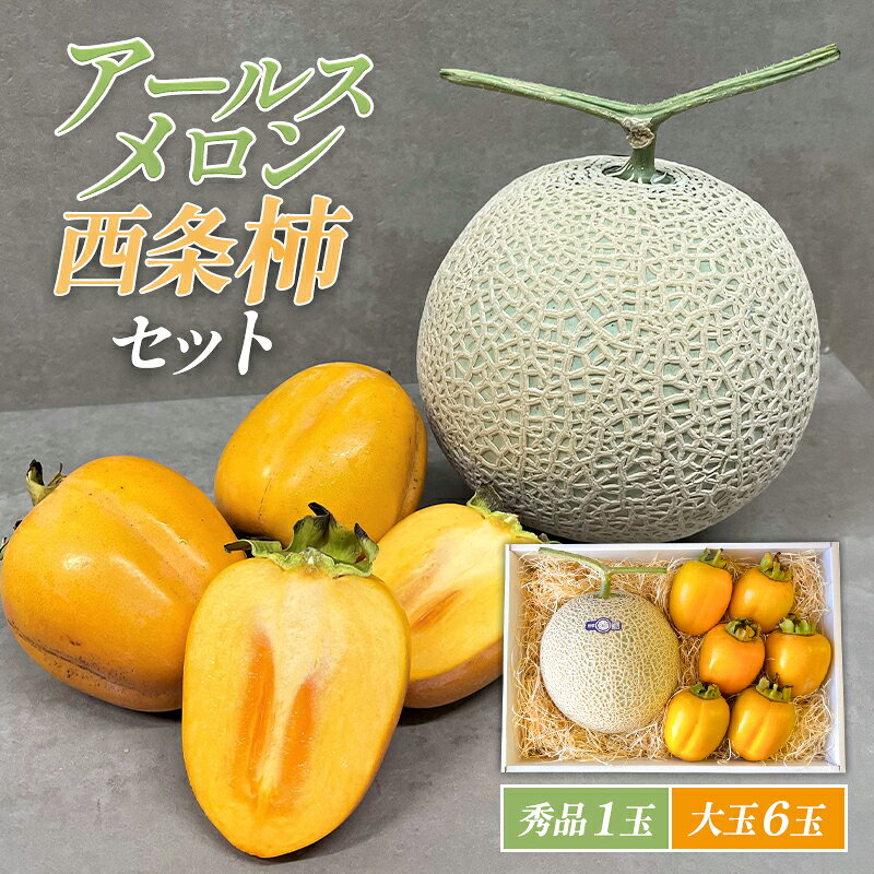【ふるさと納税】 先行予約 アールスメロン 秀品 1玉 2L 西条柿 6玉 3L 果物 フルーツ メロン 糖度14度以上 かき 大玉サイズ 季節限定 期間限定 早期予約 10月中旬〜11月上旬発送 特産品 贈答品 お取り寄せ ギフト グルメ