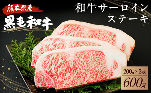 
和牛 サーロイン ステーキ 600g（200g×3枚）黒毛和牛 牛肉
